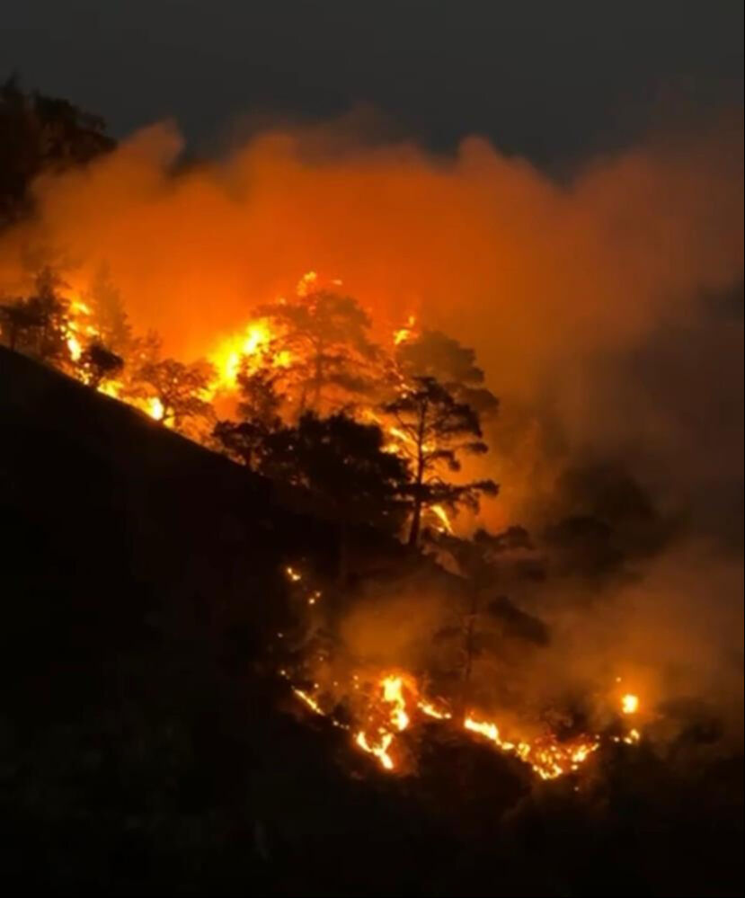 Denizli'deki orman yangını söndürüldü mü? Son durum araştırılıyor - 1. Resim
