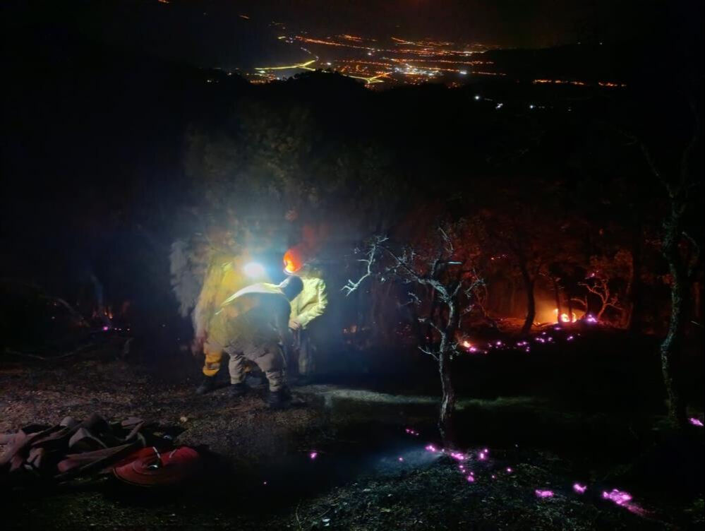 Denizli'deki orman yangını söndürüldü mü? Son durum araştırılıyor - 2. Resim