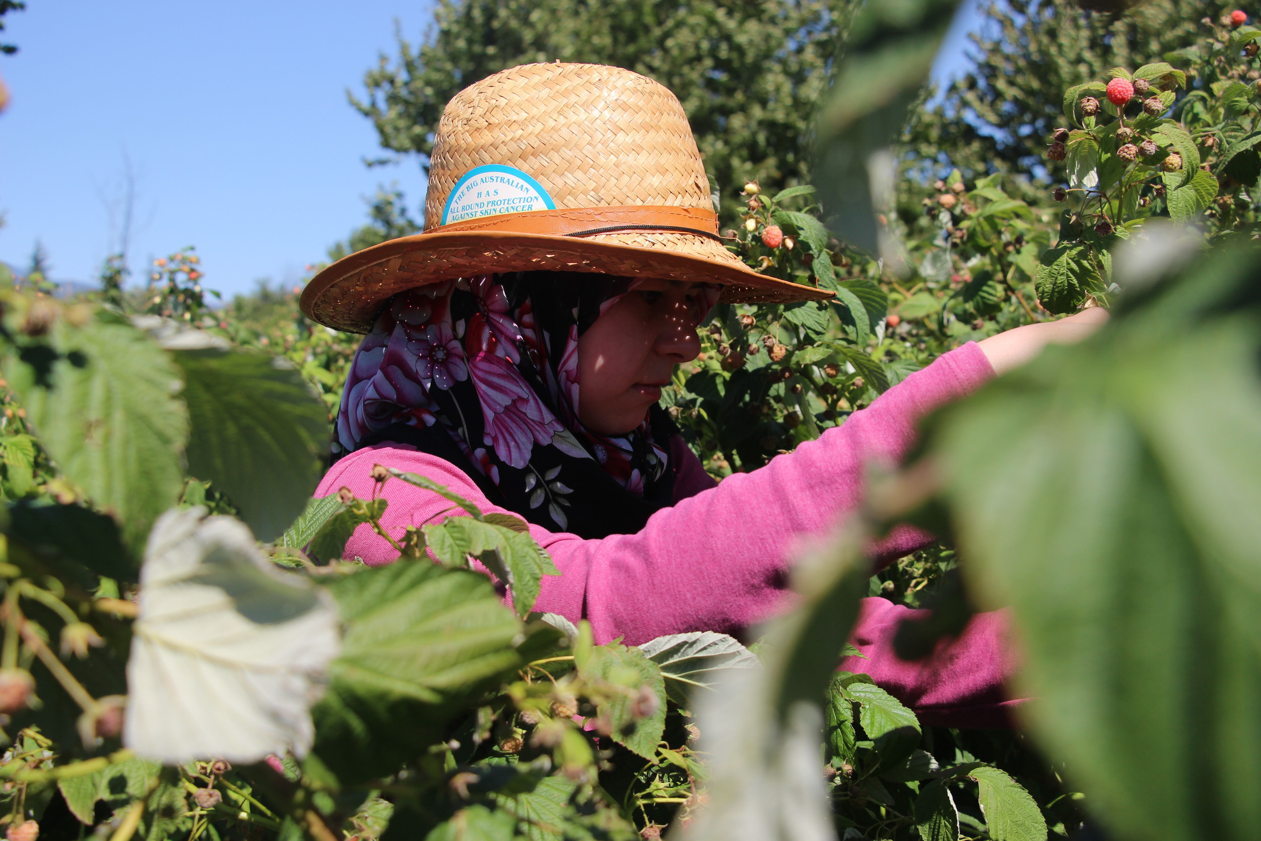 Gelenekseli bir kenara bıraktı, yapılmayanı yaptı! Kısa sürede kendi işinin patronu oldu - 3. Resim