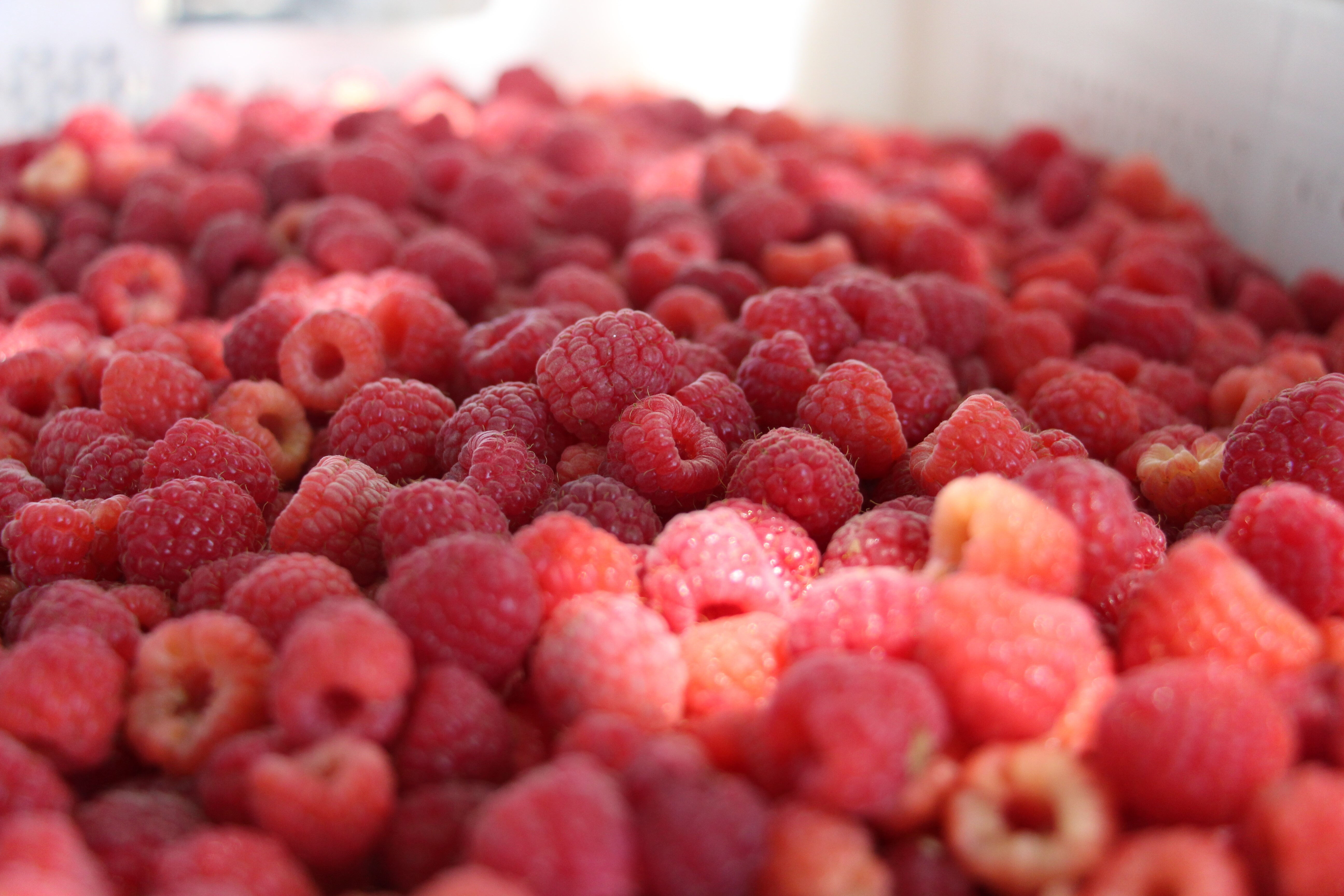 Gelenekseli bir kenara bıraktı, yapılmayanı yaptı! Kısa sürede kendi işinin patronu oldu - 2. Resim