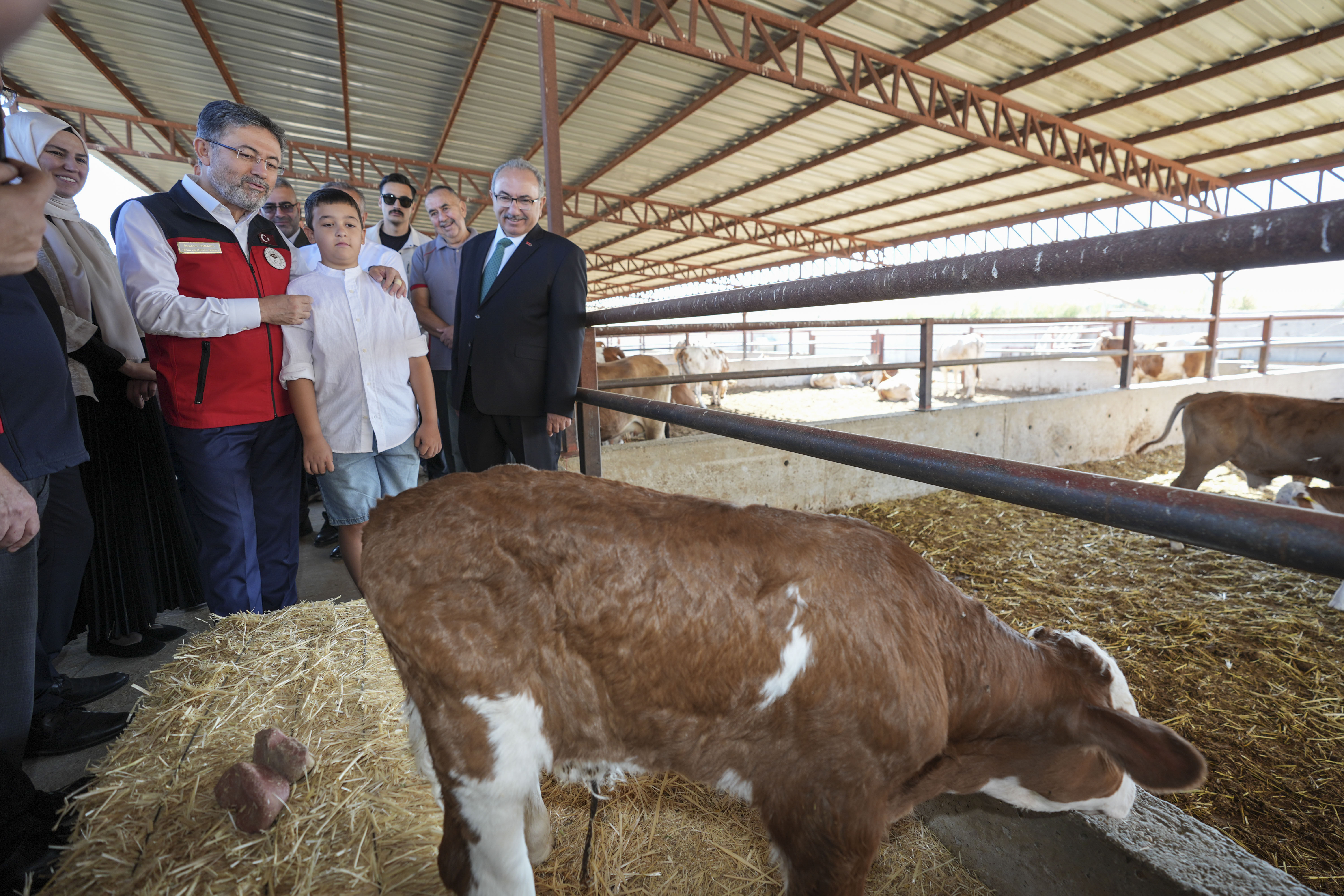 Kırmızı et ithalatı gündemden çıkacak! Besici kazanacak, 8 milyar lira yurtta kalacak - 1. Resim