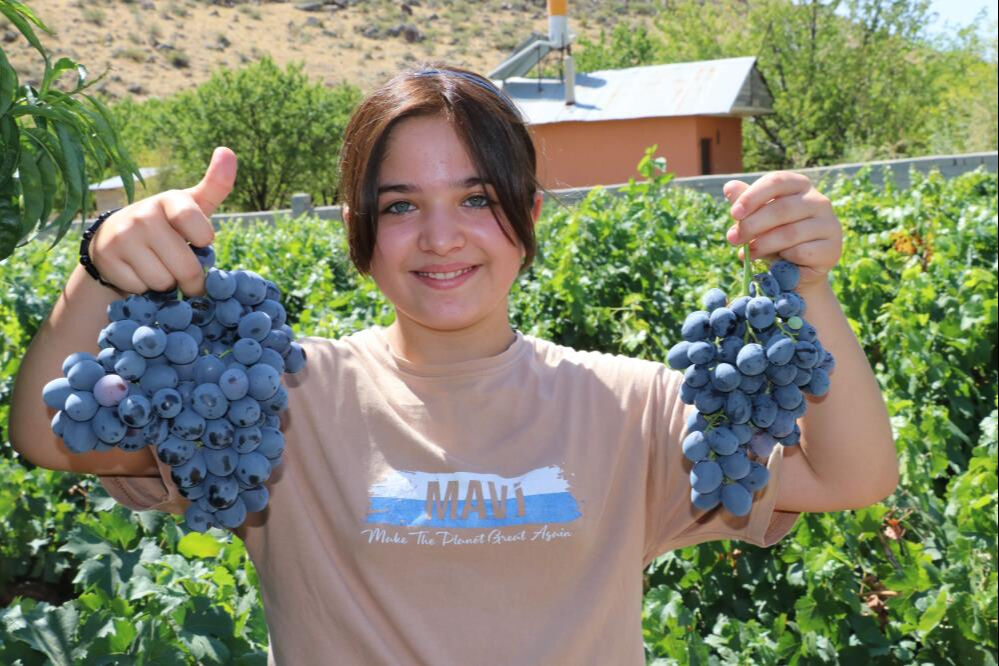 Tarlada 110, markette 200 lira! Fiyatı üreticinin yüzünü güldürdü - 1. Resim