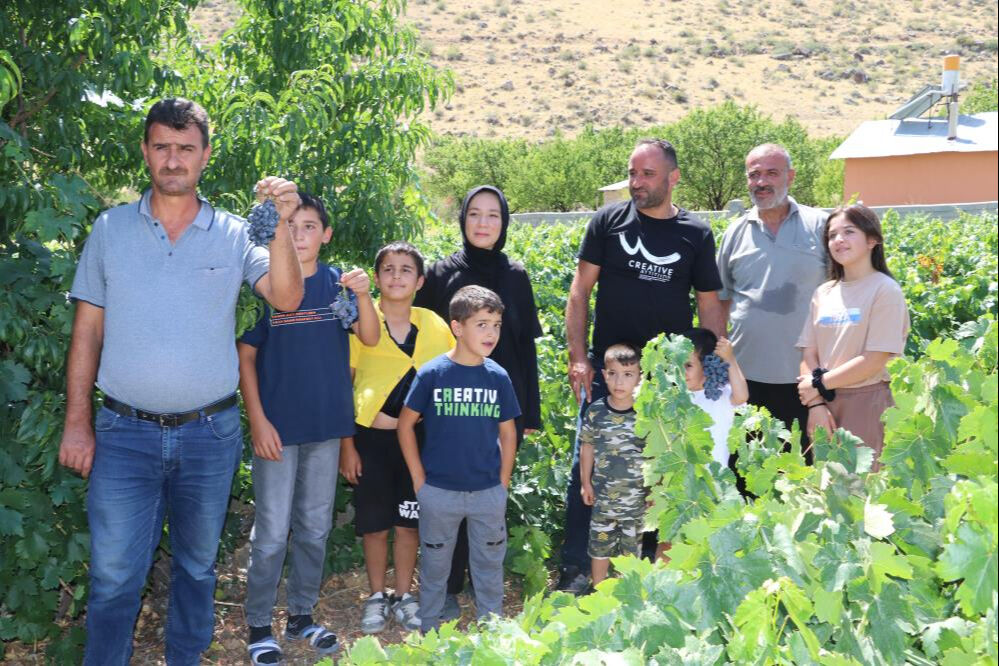 Tarlada 110, markette 200 lira! Fiyatı üreticinin yüzünü güldürdü - 2. Resim