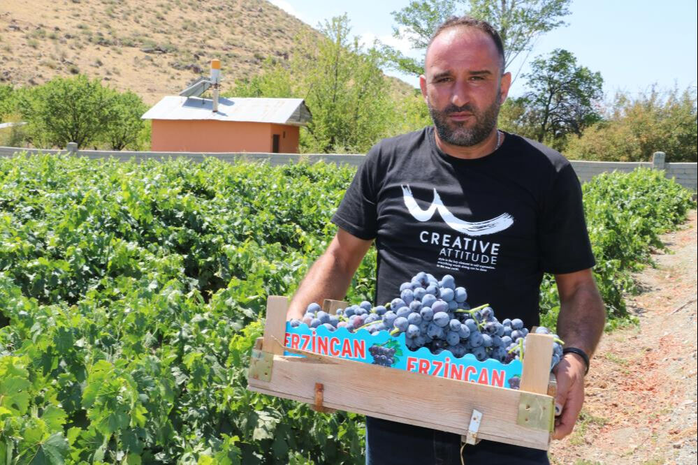 Tarlada 110, markette 200 lira! Fiyatı üreticinin yüzünü güldürdü - 3. Resim