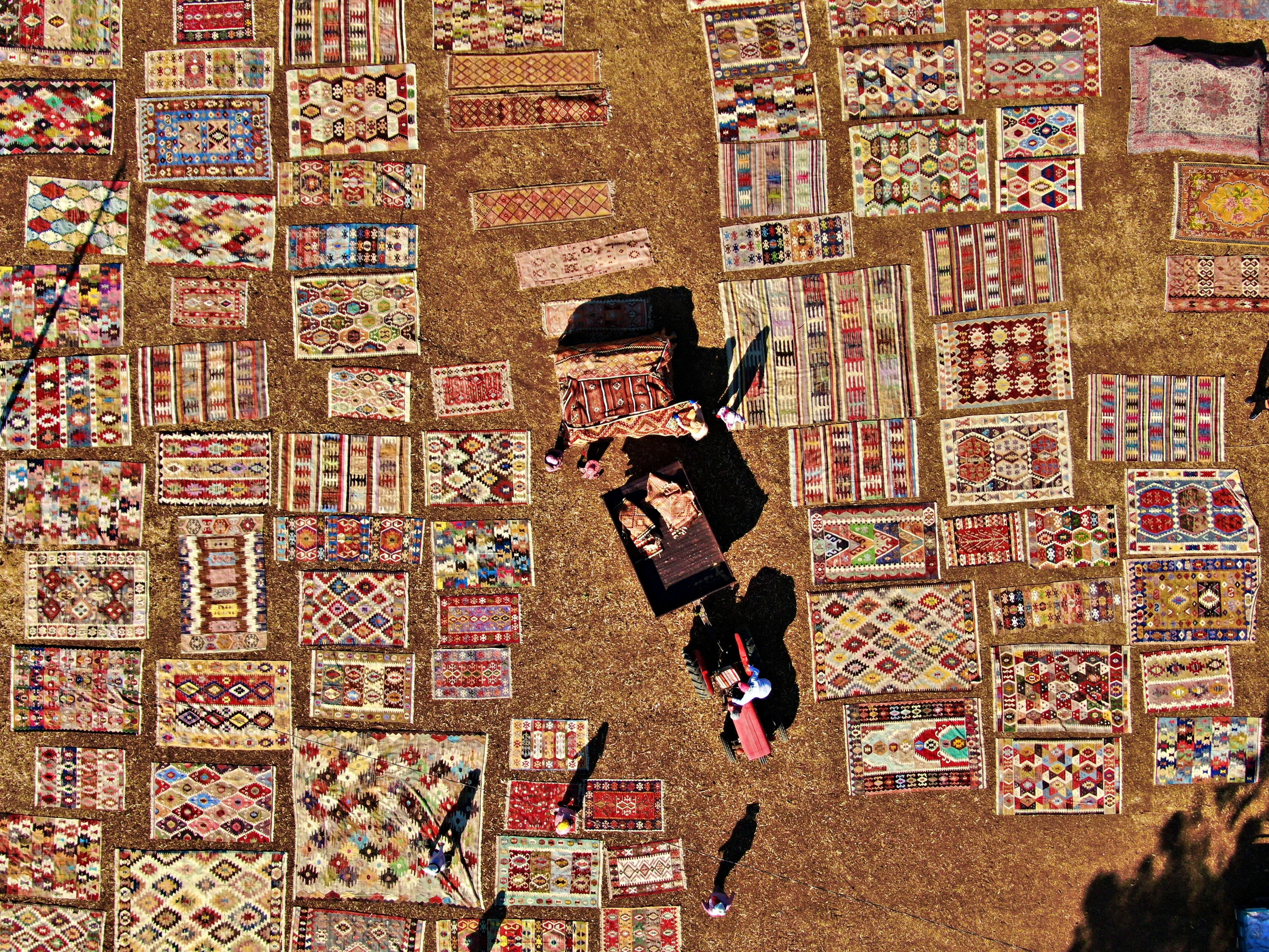 20 binden fazlası var, yurt dışından bile geliyor! Milyonluk 'hasat' için geceleri nöbet tutuyorlar - 3. Resim