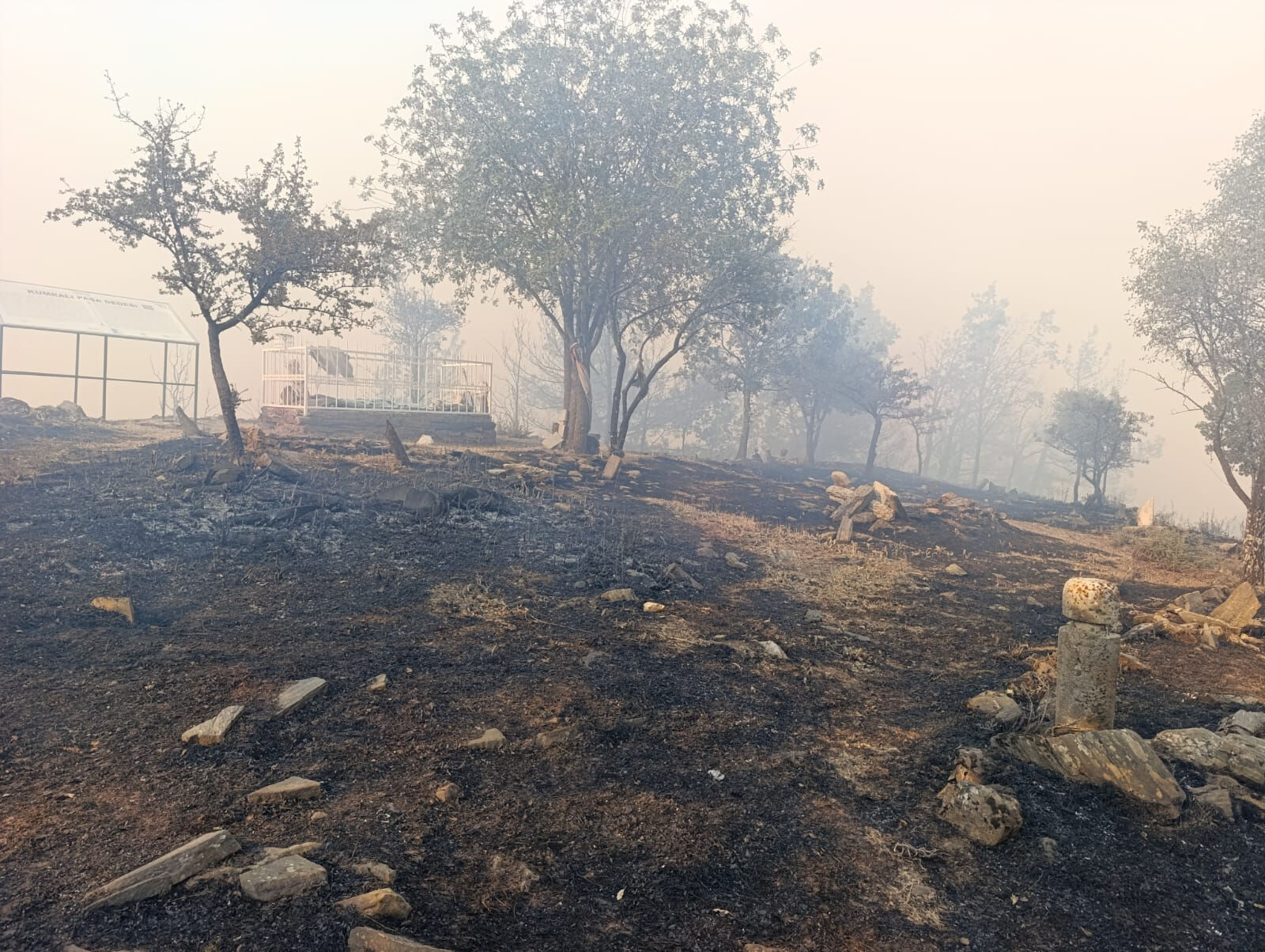 Denizli'de başlayan orman yangınıyla mücadele sürüyor! Rüzgarın etkisiyle yayılıyor - 2. Resim