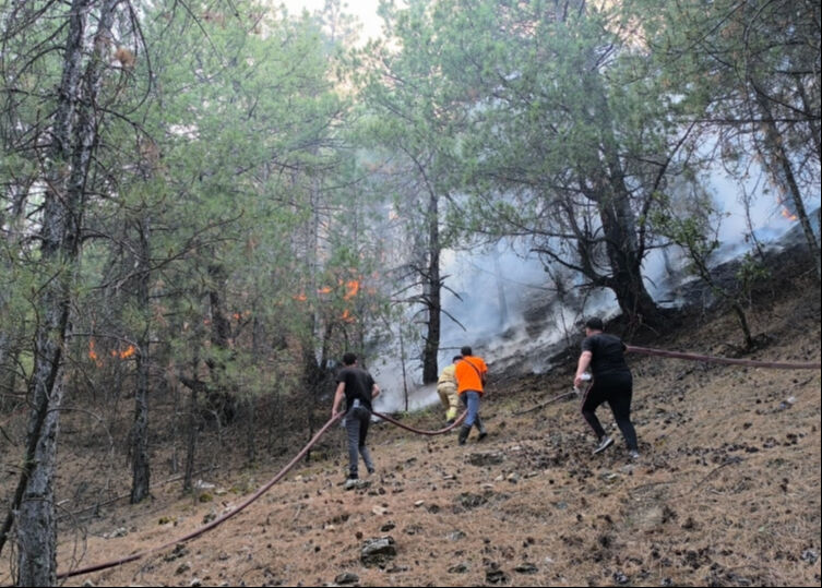 Denizli'de başlayan orman yangınıyla mücadele sürüyor! Rüzgarın etkisiyle yayılıyor - 1. Resim