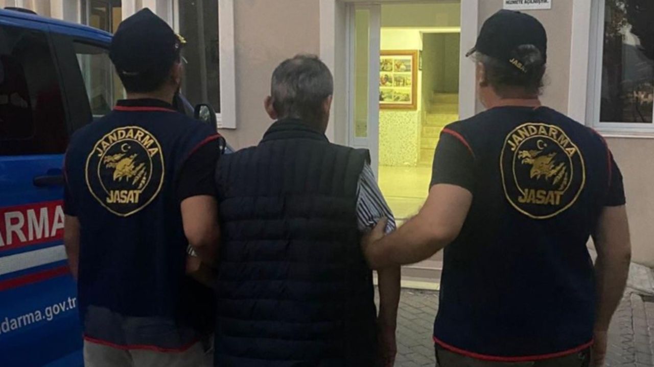 Hayvanların zehirlendiği olayda şoke eden detaylar! Çocukları da alet etmiş Hayvanların zehirlendiği olayda şoke eden detaylar! Çocukları da alet etmiş
