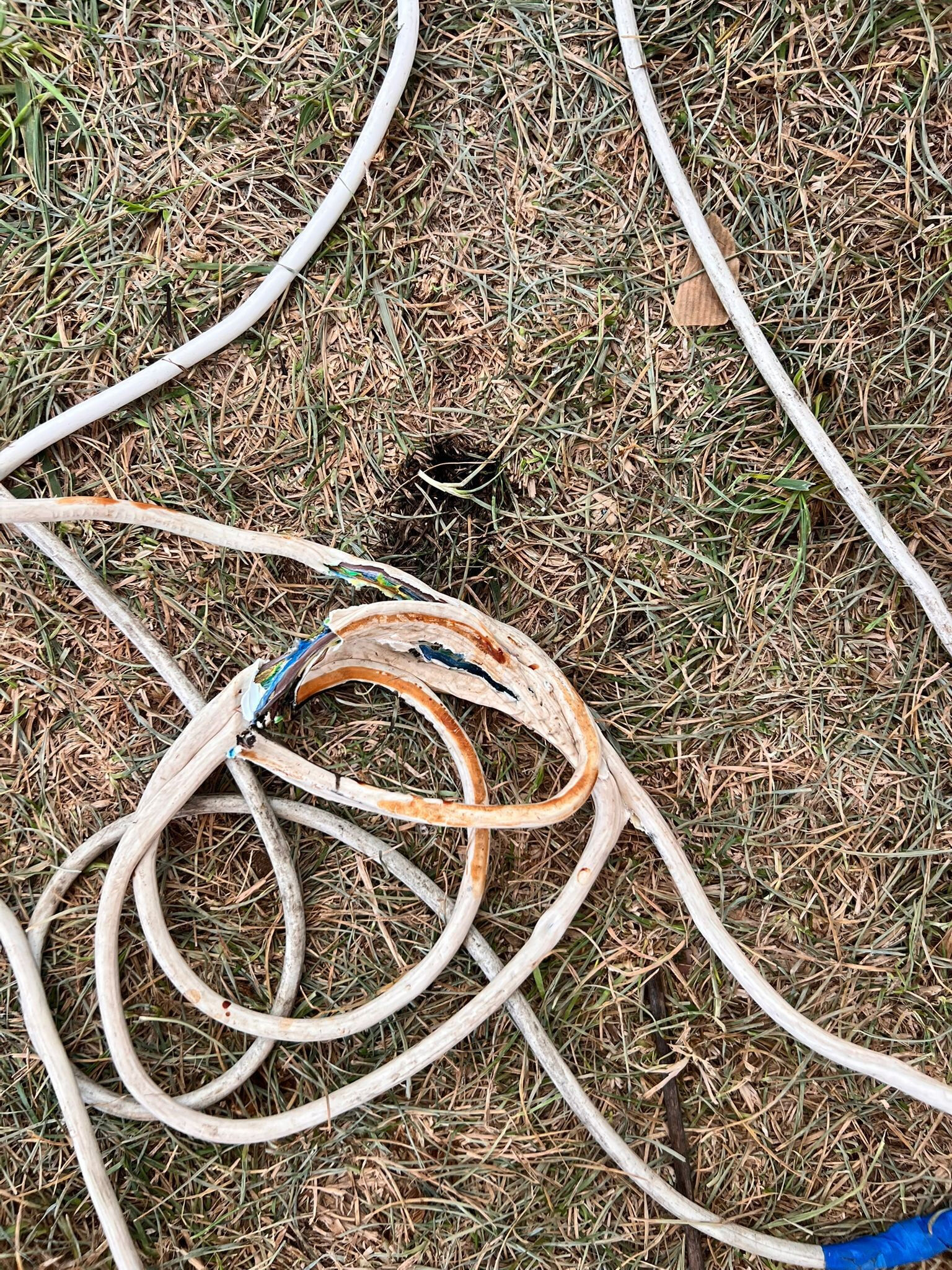 İstanbul'da festivalde feci olay! Elektrik akımına kapılan genç can verdi - 3. Resim