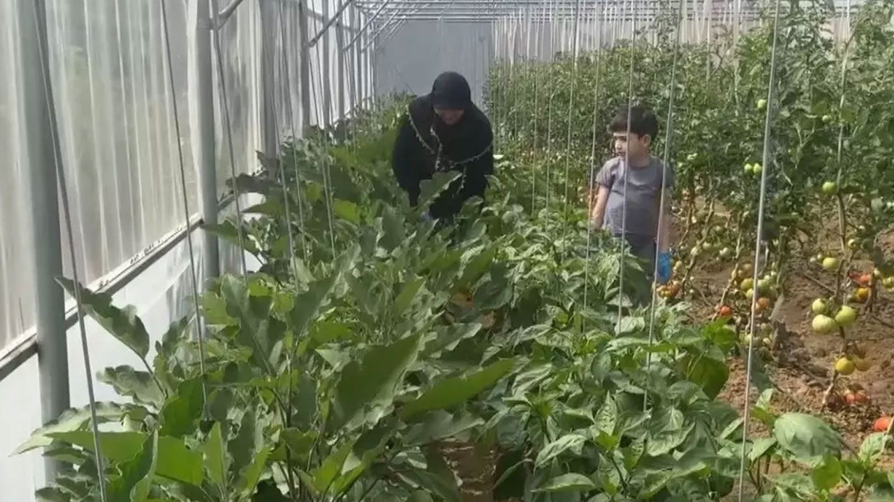 Eşi emekli olunca harekete geçti, hayalini 60 yaşında gerçekleştirdi! 