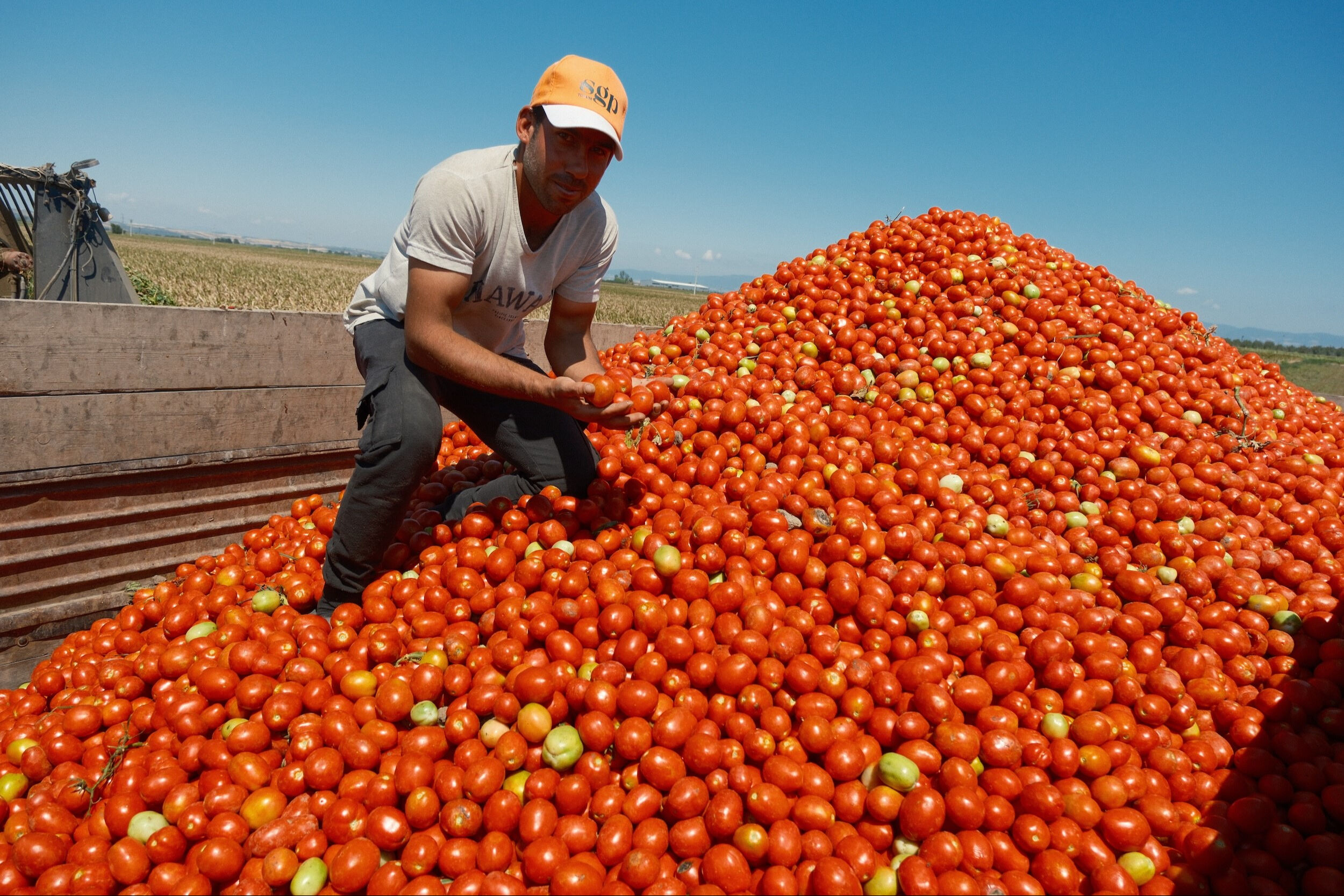Girdiler artıyor, ürün fiyatları yeterli değil: Karacabey çiftçisi endişeli - 1. Resim