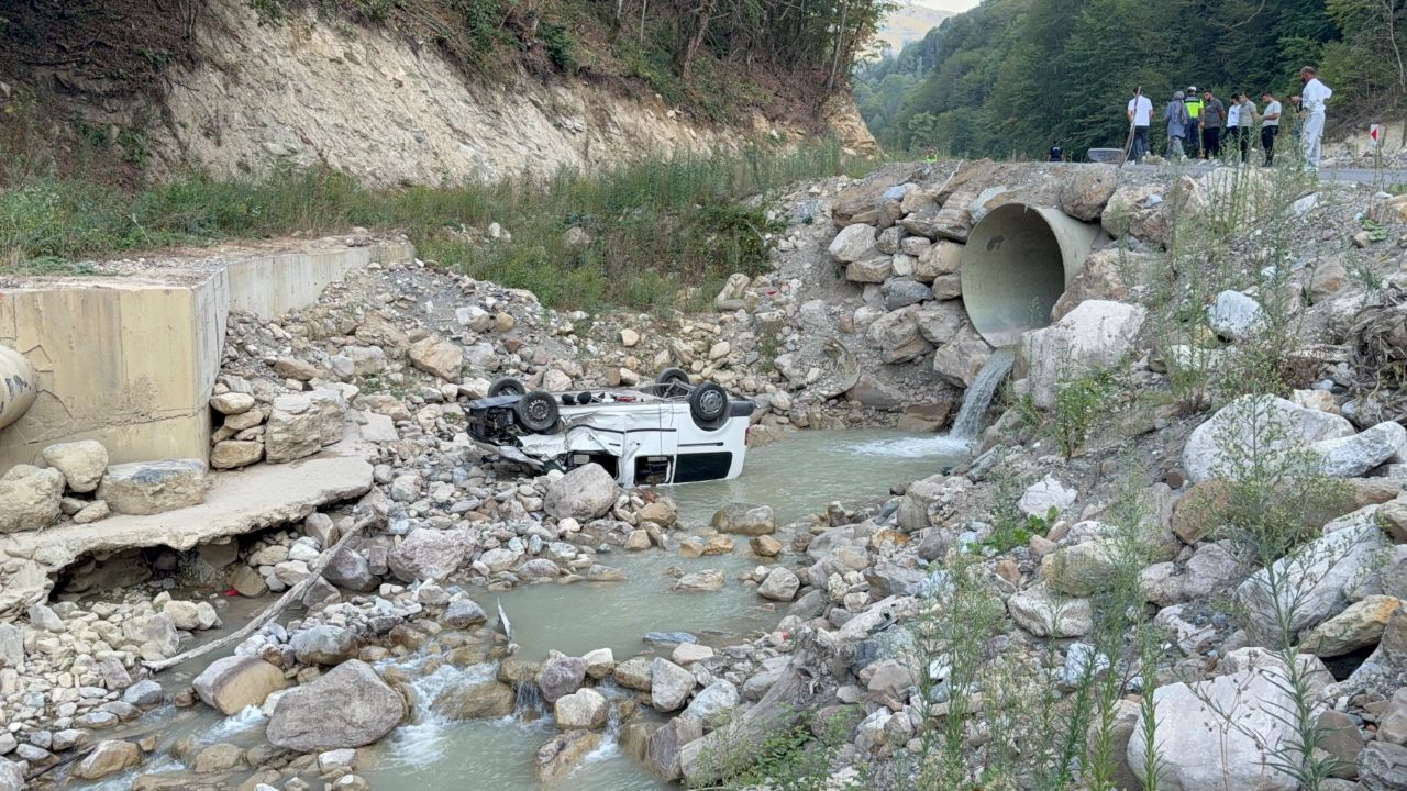 Piknik eğlencesinin acı sonu! Dereye uçan araçta yaralılar var