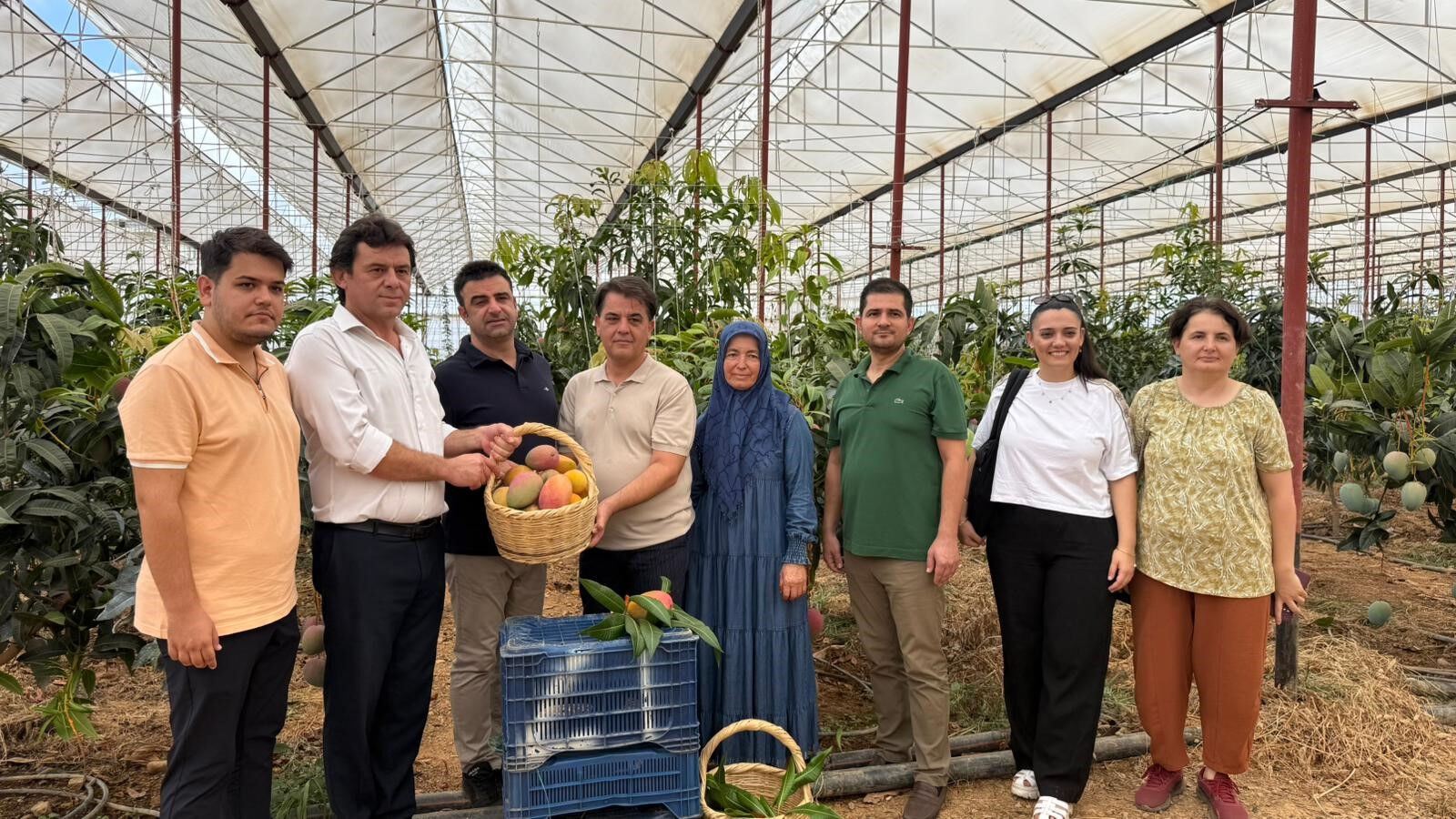 Türkiye'nin en büyük merkezlerinden: 30 yıl önce deneme amaçlı dikti, şimdi 300 dönümde üretim yapıyor! - 2. Resim