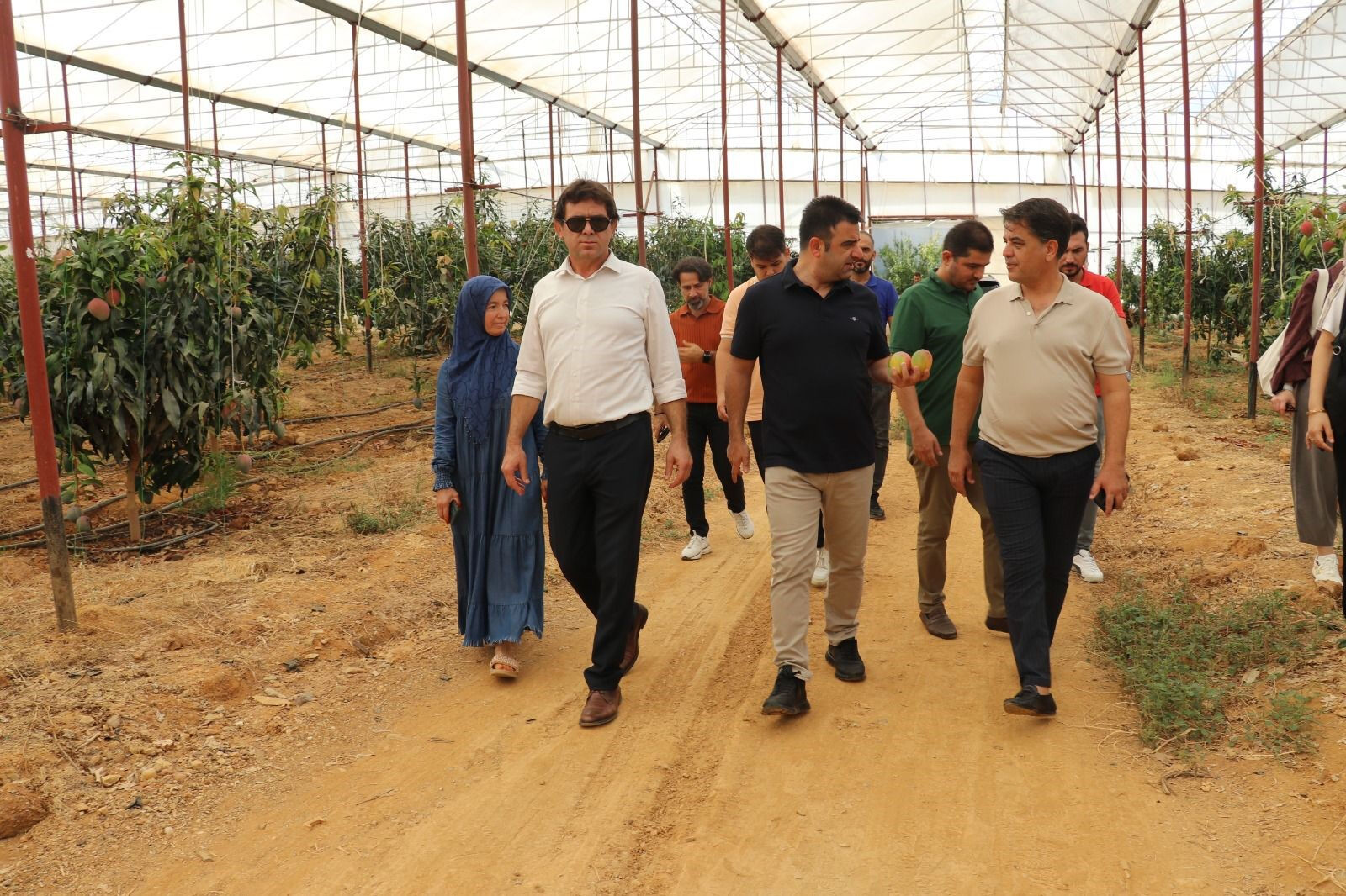 Türkiye'nin en büyük merkezlerinden: 30 yıl önce deneme amaçlı dikti, şimdi 300 dönümde üretim yapıyor! - 3. Resim