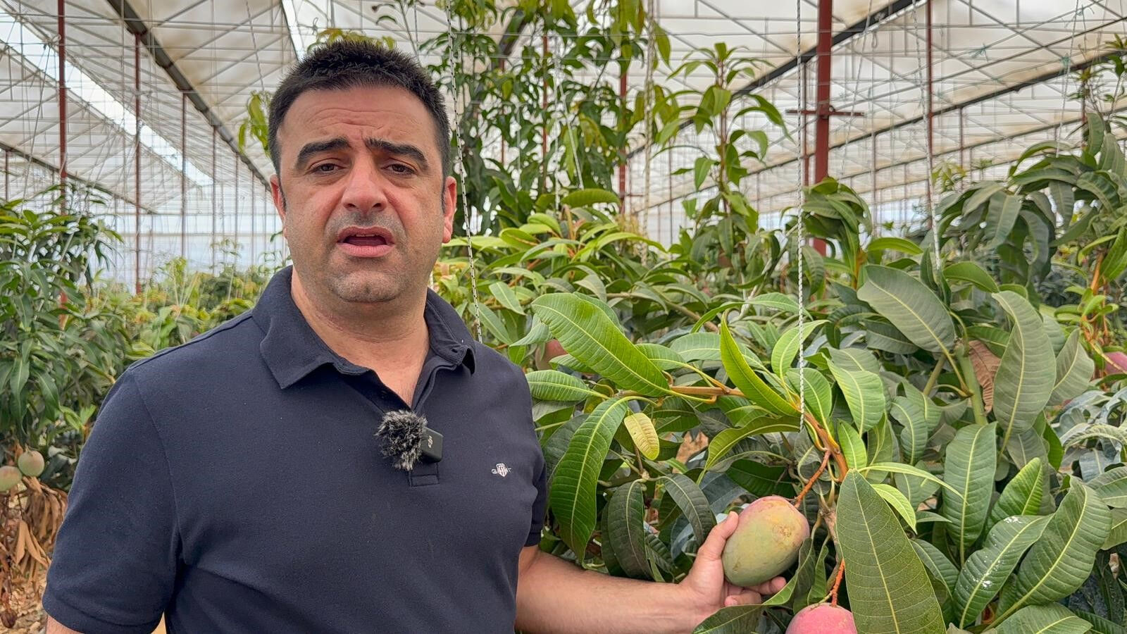 Türkiye'nin en büyük merkezlerinden: 30 yıl önce deneme amaçlı dikti, şimdi 300 dönümde üretim yapıyor! - 1. Resim