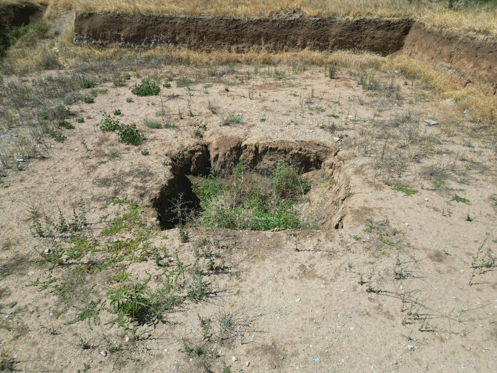 Arazide bulunan lahit hayatlarını kararttı: Belediye başkanıyla ilgili skandal iddia - 1. Resim