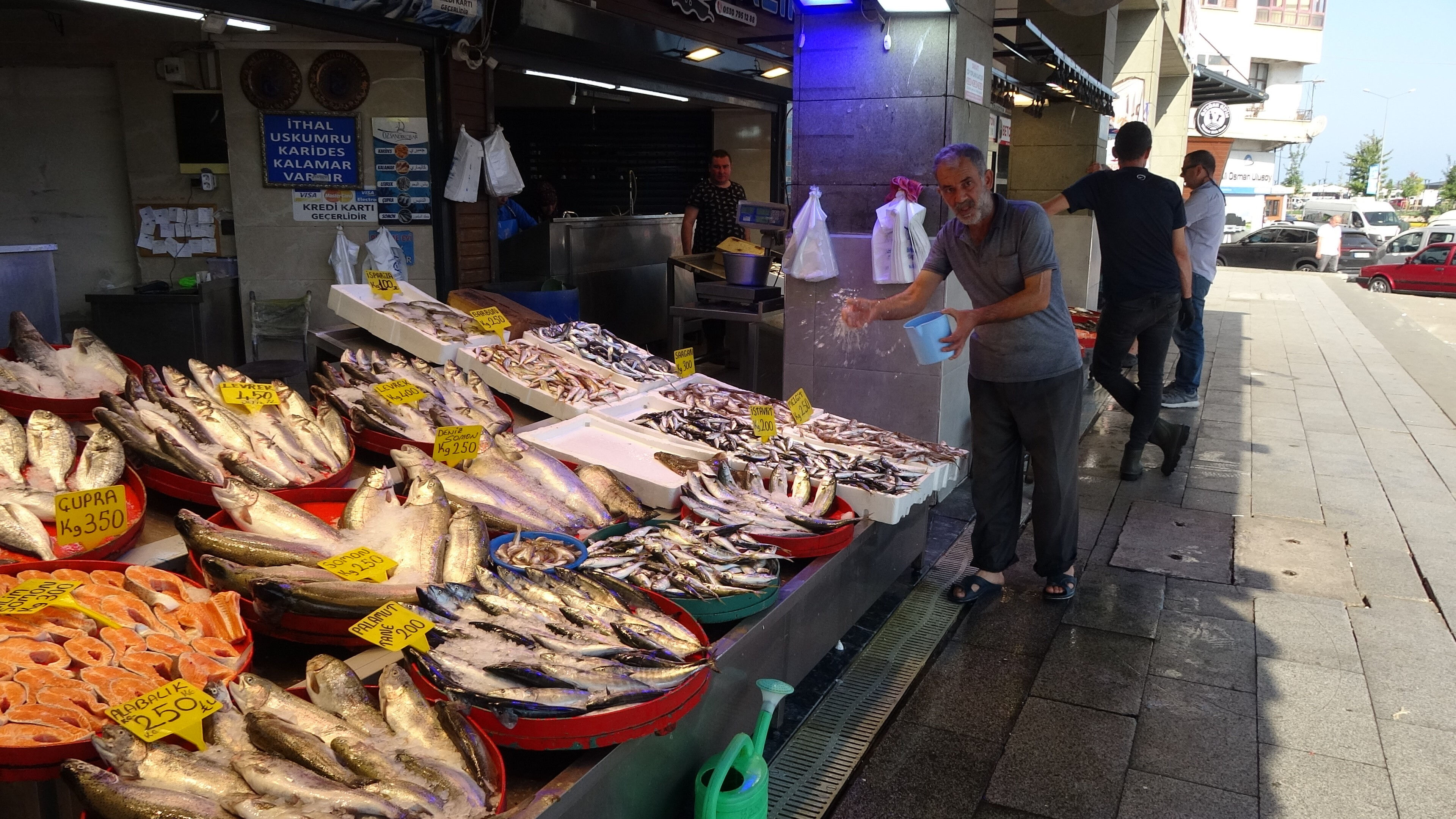 Balıkçılar 'Vira Bismillah' dedi, balık fiyatları geçen senenin yarısı! - 3. Resim