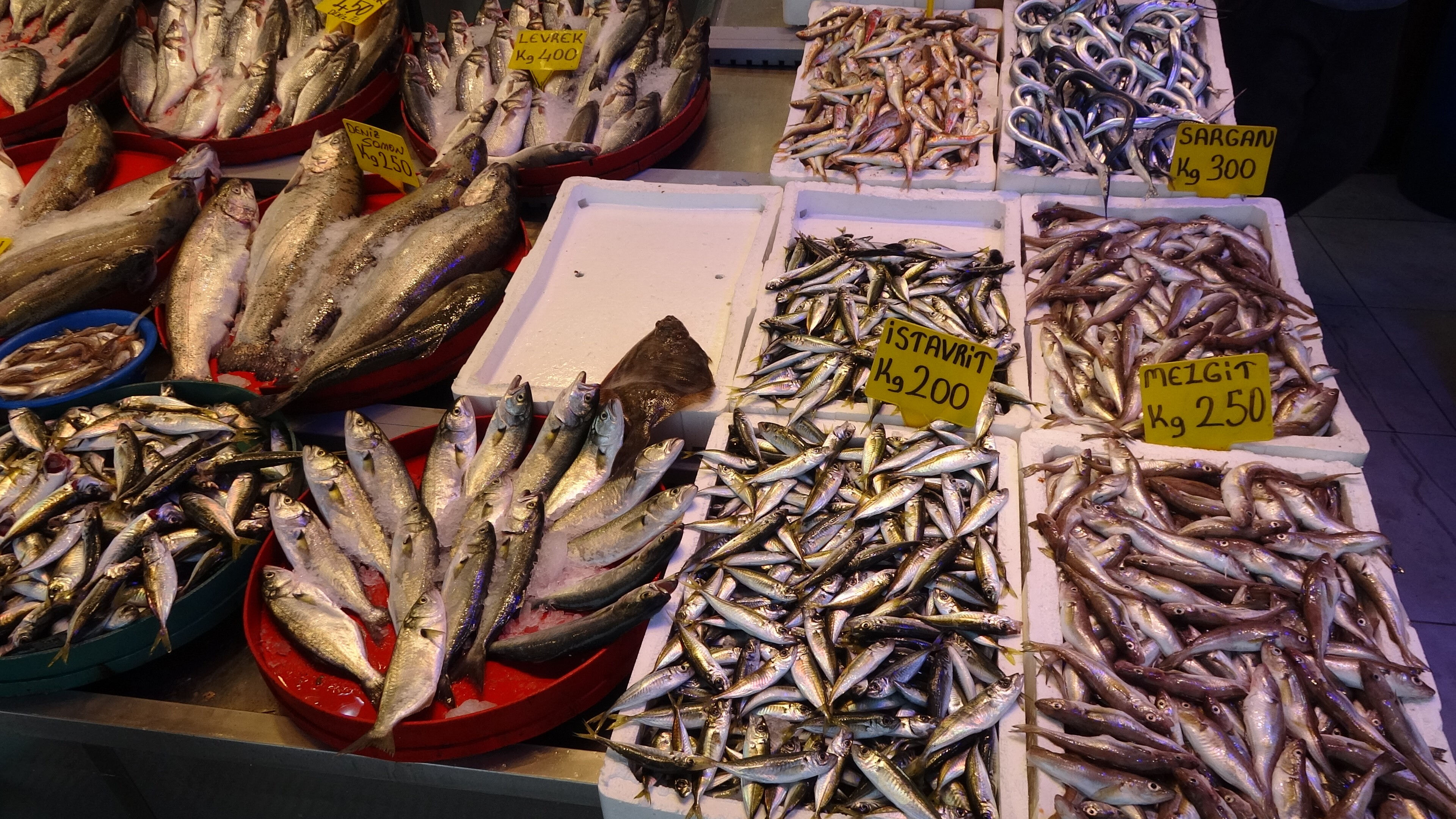 Balıkçılar 'Vira Bismillah' dedi, balık fiyatları geçen senenin yarısı! - 4. Resim