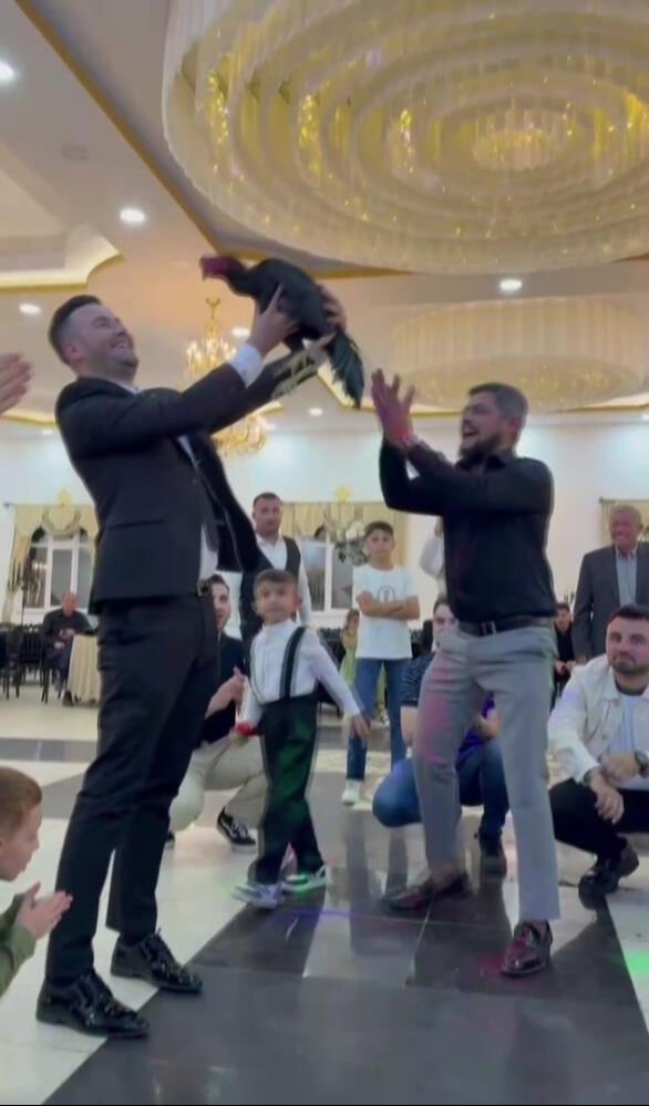 Düğünde davetliler şoke oldu! Damada 250 bin liralık Hint horozu hediye edildi - 1. Resim
