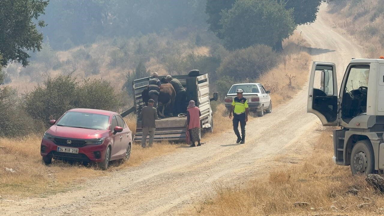 Karabük'teki orman yangını Kastamonu'ya sıçradı! Alevlerin yaklaştığı köy tahliye edildi - 3. Resim