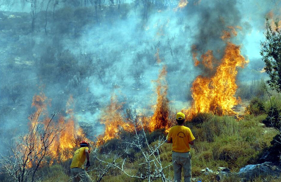 Ankara yangın son dakika: Ankara'da orman yangını mı çıktı? - 2. Resim