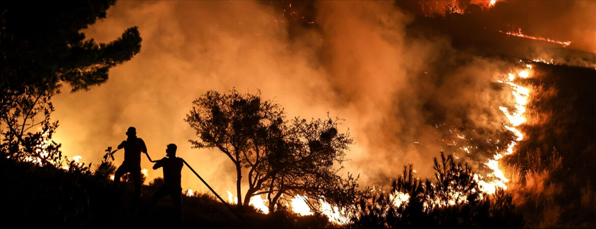 Ankara yangın son dakika: Ankara'da orman yangını mı çıktı? - 1. Resim