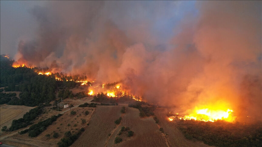 Ankara yangın son dakika: Ankara'da orman yangını mı çıktı? - 3. Resim