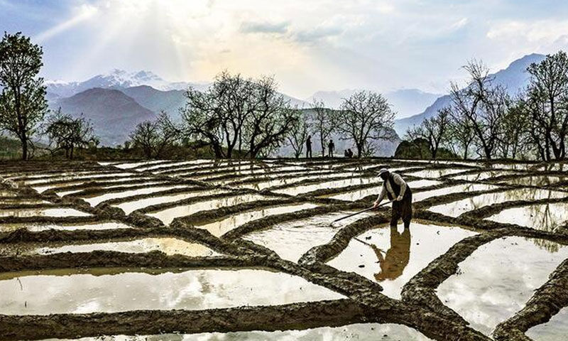 Çiftçiler kazançlı! Sulama sistemi yenilendi, hem verim arttı hem 4 kat tasarruf sağladılar - 3. Resim