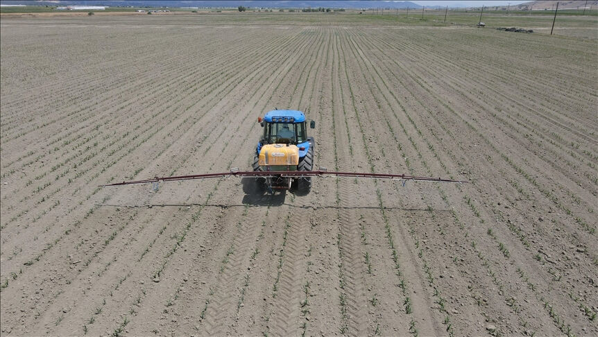 Devletten kiralık tarla nasıl alınır? Bakanlık harekete geçti, uygulama başladı - 2. Resim