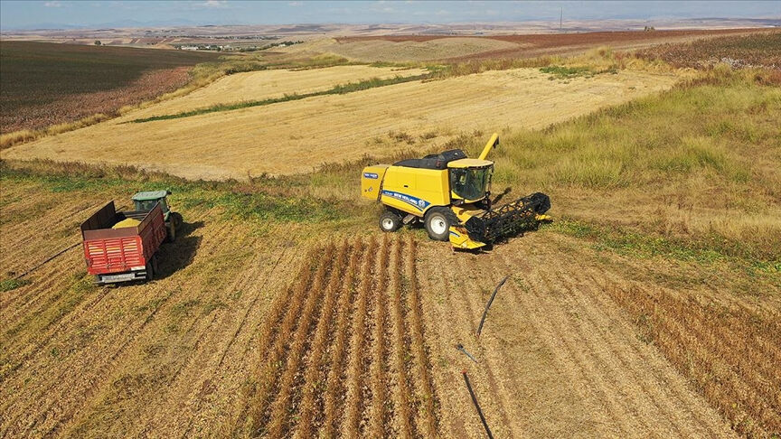 Devletten kiralık tarla nasıl alınır? Bakanlık harekete geçti, uygulama başladı - 3. Resim