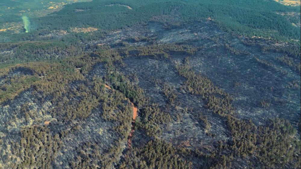 Karabük'te çok acı manzara! Yeşilin yerini siyah kül örtüsü aldı - 1. Resim