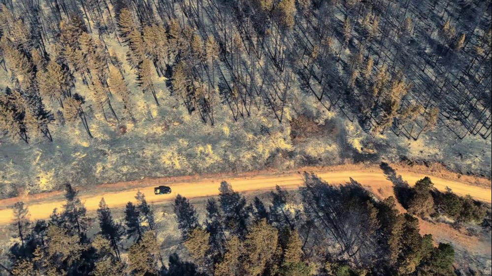 Karabük'te çok acı manzara! Yeşilin yerini siyah kül örtüsü aldı - 2. Resim