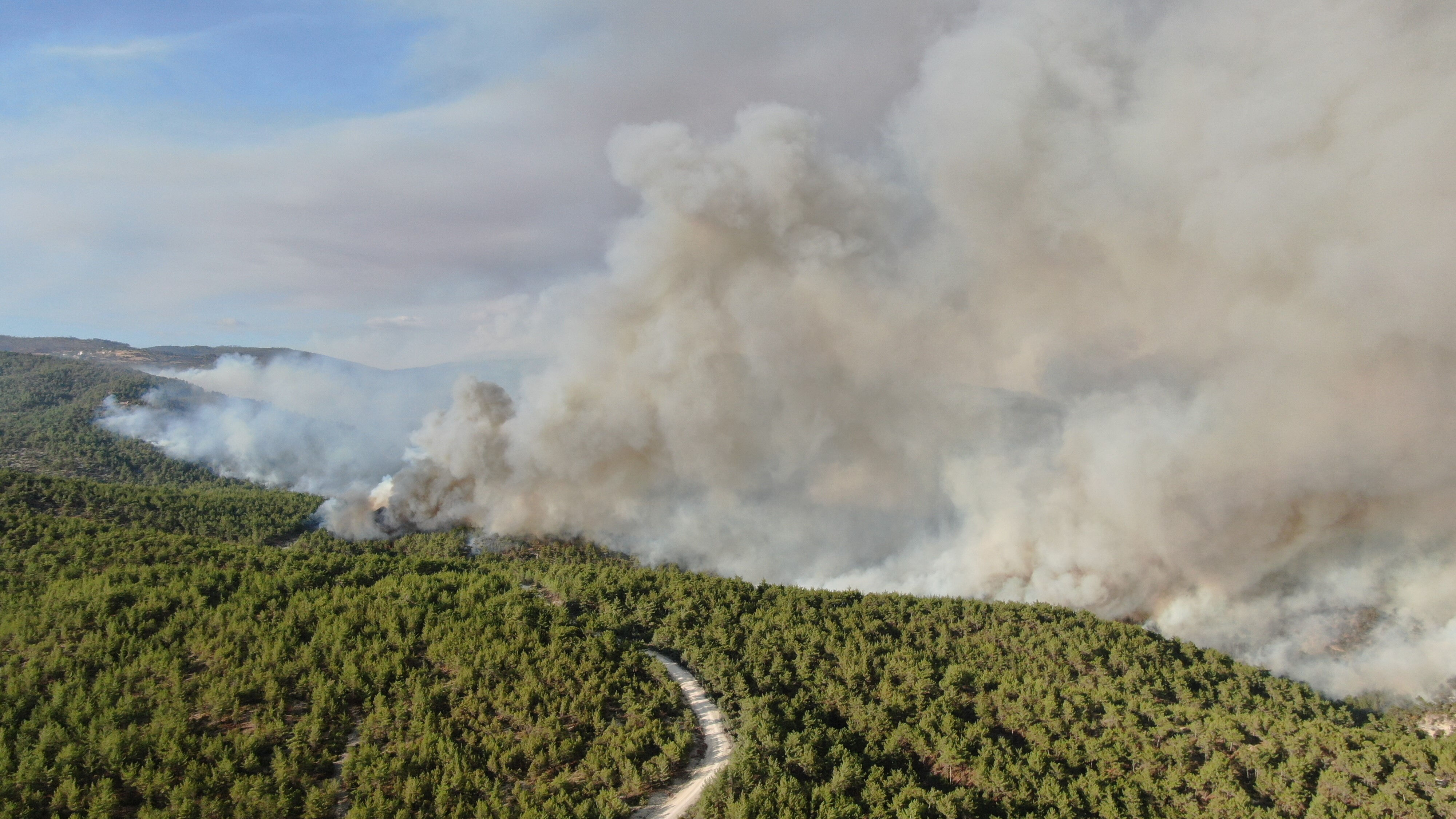 Kastamonu'da orman yangını! Kuvvetli rüzgar alevlerin enerjisini arttırdı - 1. Resim