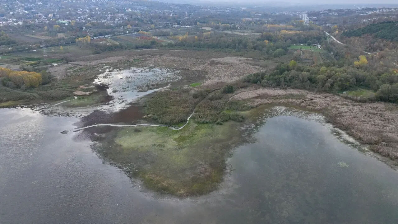 2 kentin içme suyu kaynağı yok oluyor! Sapanca Gölü için kriz durumu ilan edildi - 4. Resim
