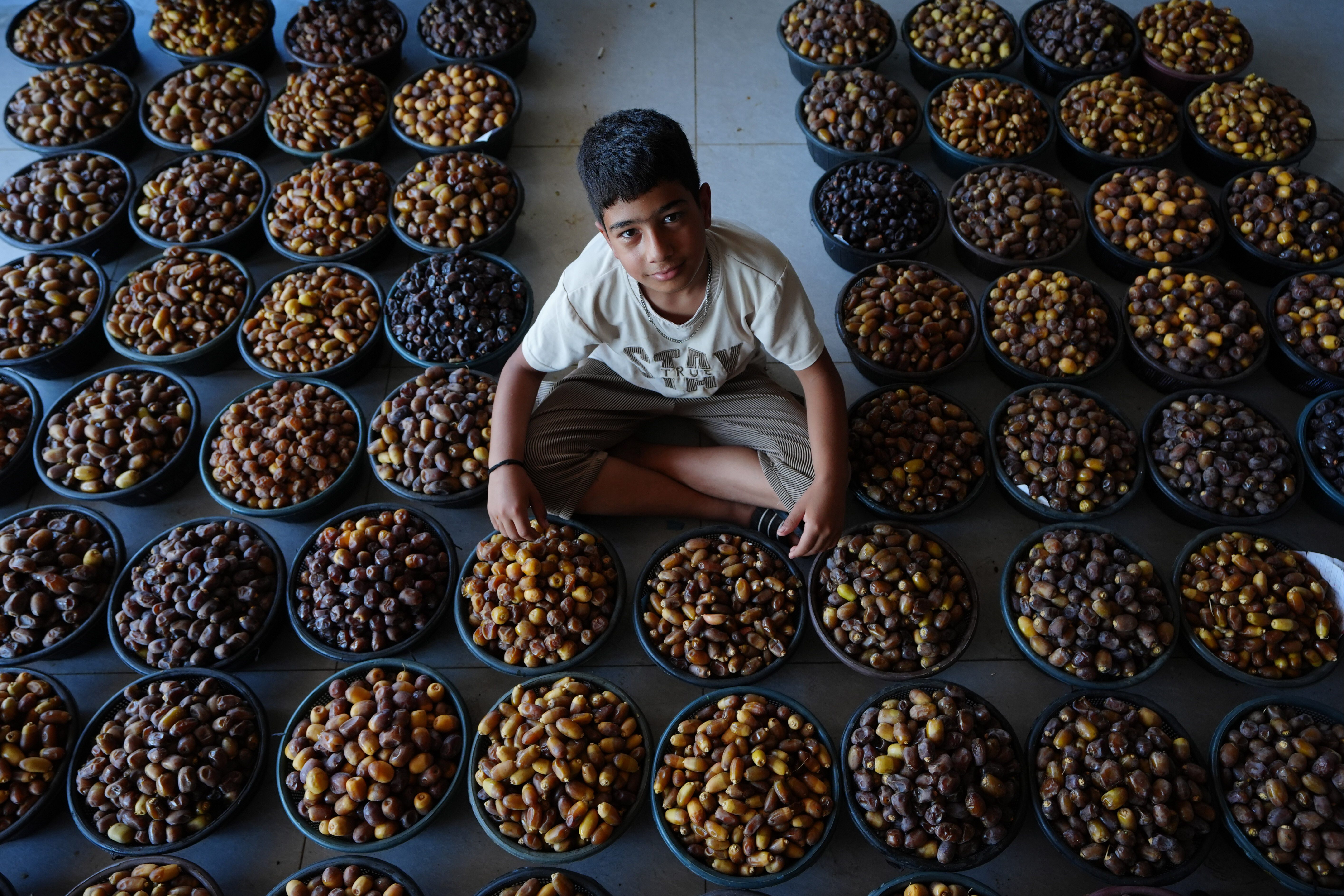 Ağaç tepelerinde zorlu hasat! Sabah 4'te başlıyor, öğlene kadar sürüyor - 2. Resim