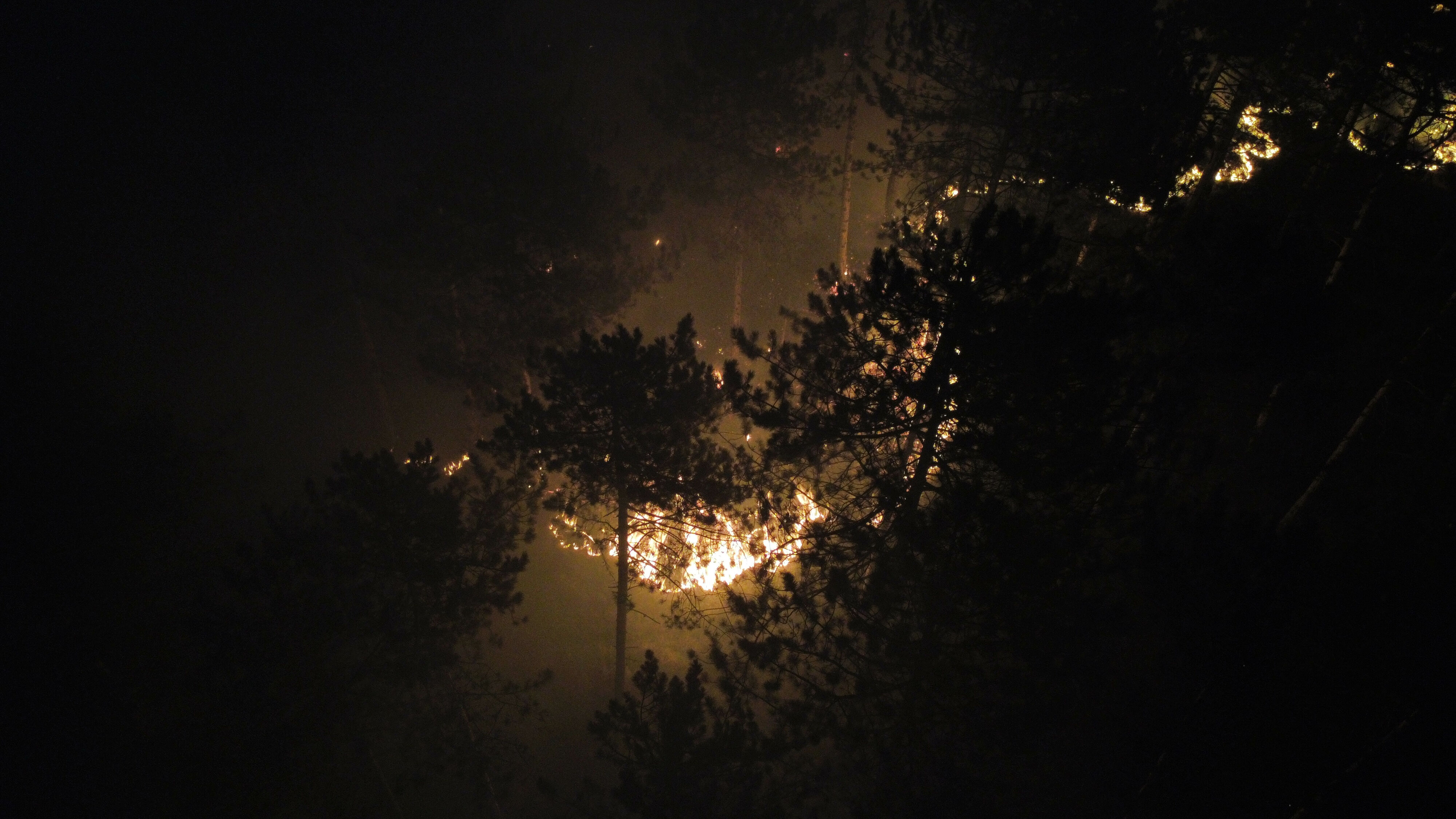 Karabük yangınında ‘karga’ şüphesi: 20 saat sonra söndürüldü - 2. Resim