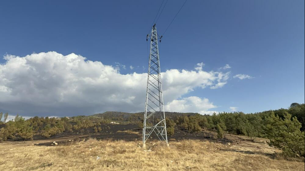 Karabük'teki orman yangını söndürüldü mü? Son dakika! Sebebi karga çıktı... Karabük'teki orman yangını söndürüldü mü? Son dakika! Sebebi karga çıktı... - 2. Resim