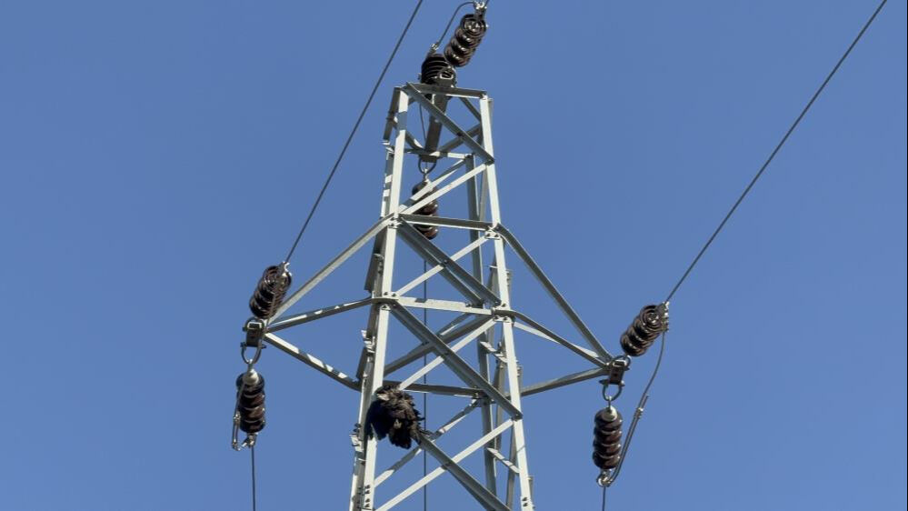 Karabük'teki orman yangını söndürüldü mü? Son dakika! Sebebi karga çıktı... Karabük'teki orman yangını söndürüldü mü? Son dakika! Sebebi karga çıktı... - 3. Resim