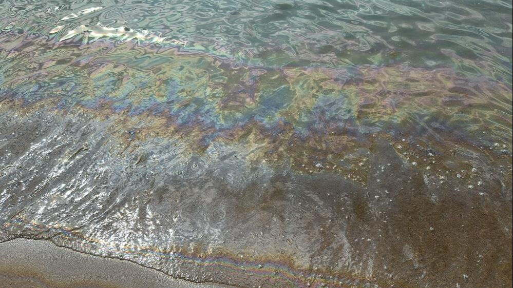 2,5 ay sonra tespit edildi! 10 milyon TL para cezası kesildi - 1. Resim