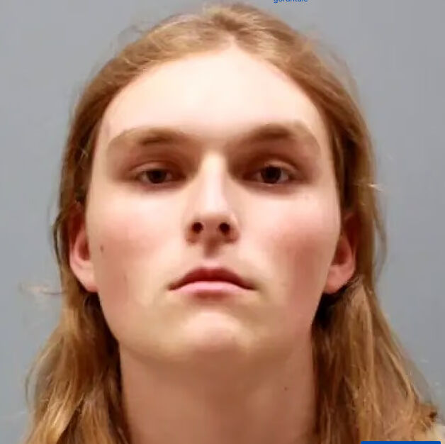 ABD’de abla vahşeti! 8 yaşındaki kardeşini işkence ederek öldürdü: Boş yere suçlanıyorum - 3. Resim