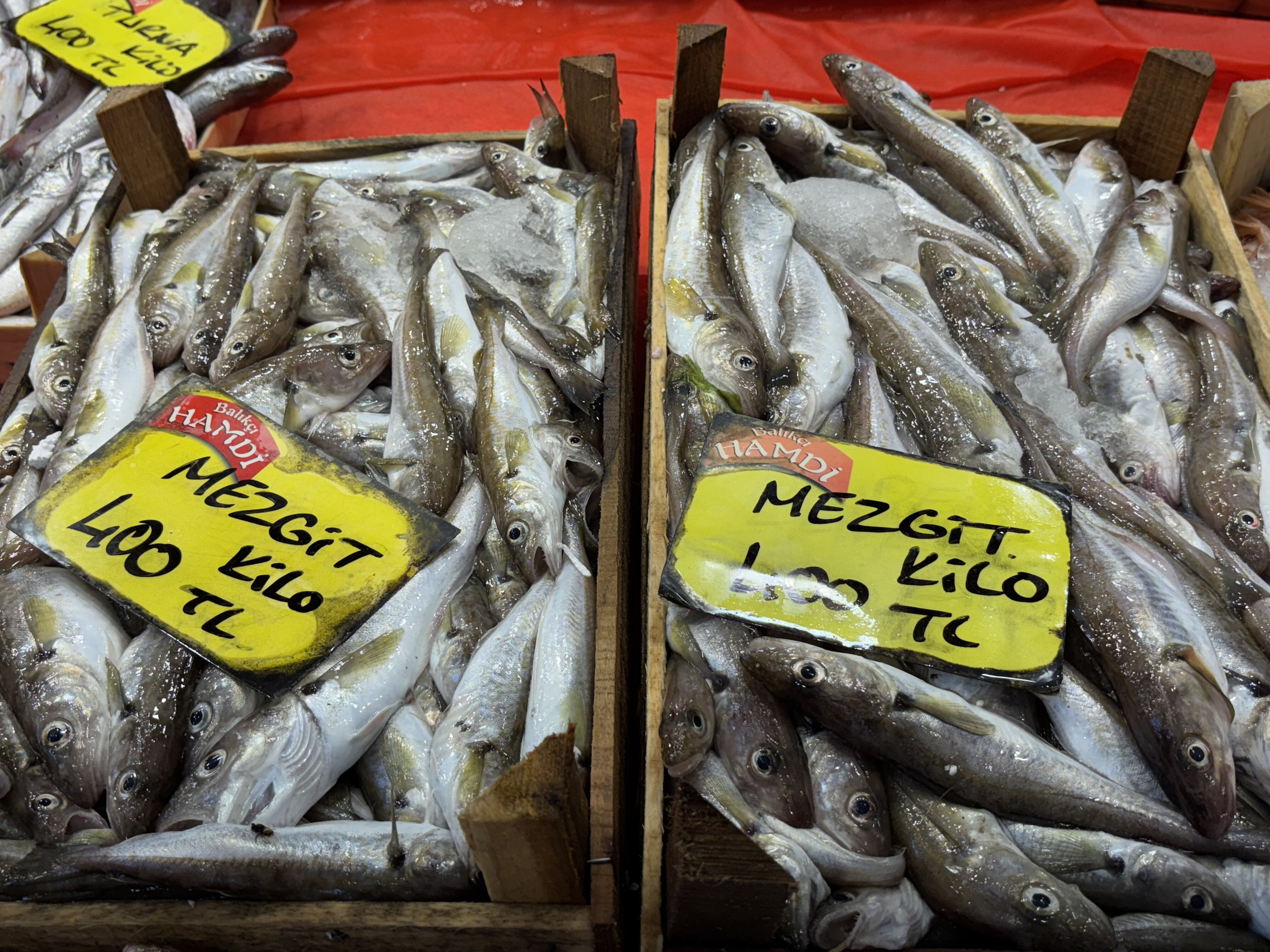 Balık&ccedil;ı tezgahlarında hamsi ve istavrit bolluğu! İşte fiyatlar... - 2. Resim