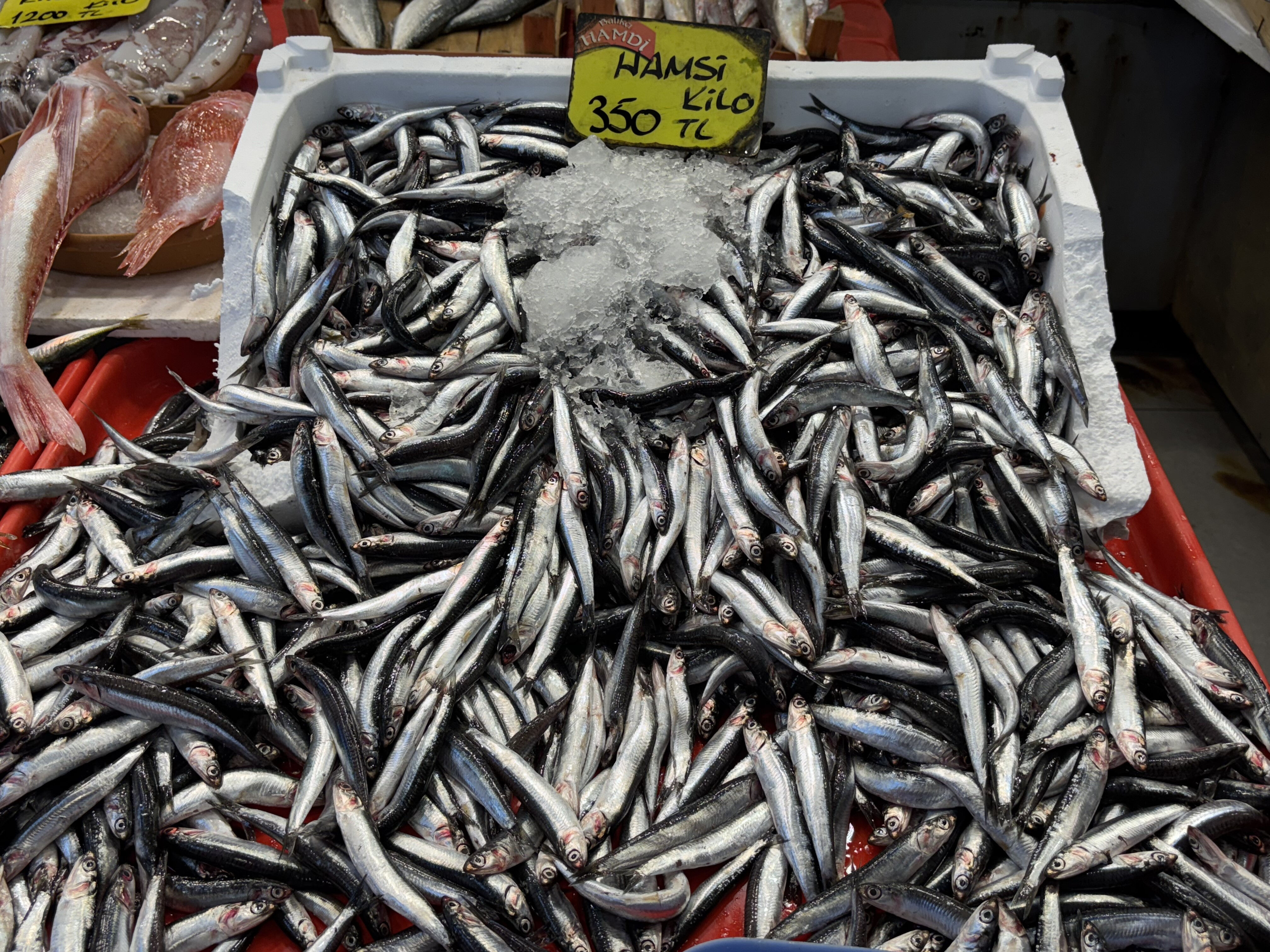 Balık&ccedil;ı tezgahlarında hamsi ve istavrit bolluğu! İşte fiyatlar... - 3. Resim