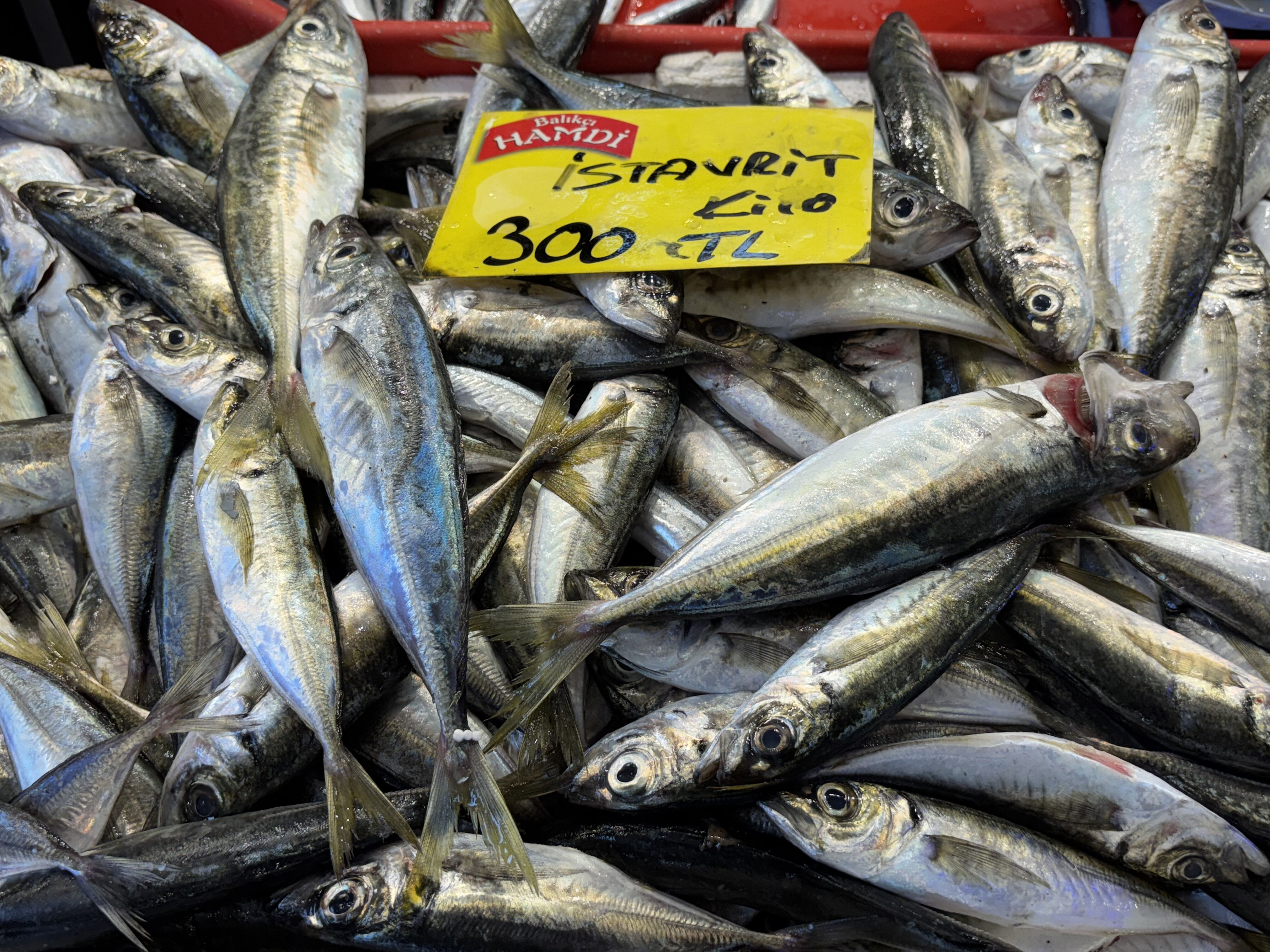 Balık&ccedil;ı tezgahlarında hamsi ve istavrit bolluğu! İşte fiyatlar... - 1. Resim