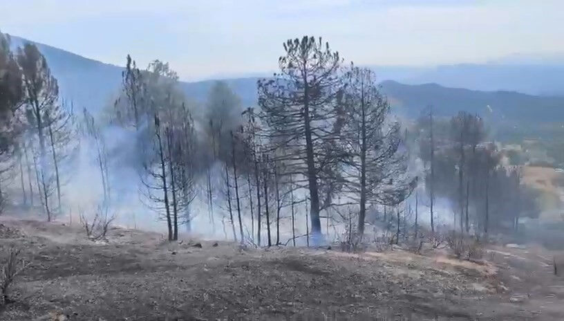 Bursa yangında son dakika gelişmesi! Bursa'daki orman yangını nerede çıktı, Söndürüldü mü? - 1. Resim