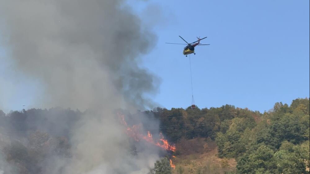 Düzce'de orman yangını! Çok sayıda ekip bölgede - 1. Resim