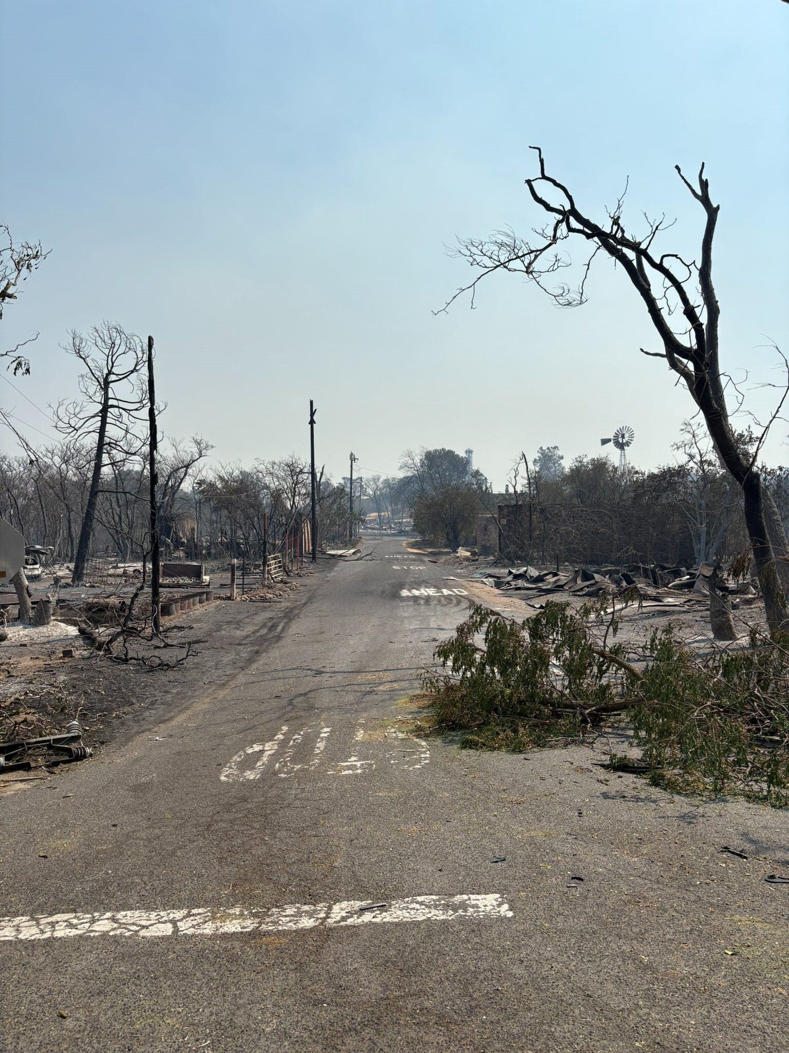 Kaliforniya alev alev! 24 saatte 10 binden fazla yıldırım düştü: Binlerce dönüm küle döndü - 3. Resim
