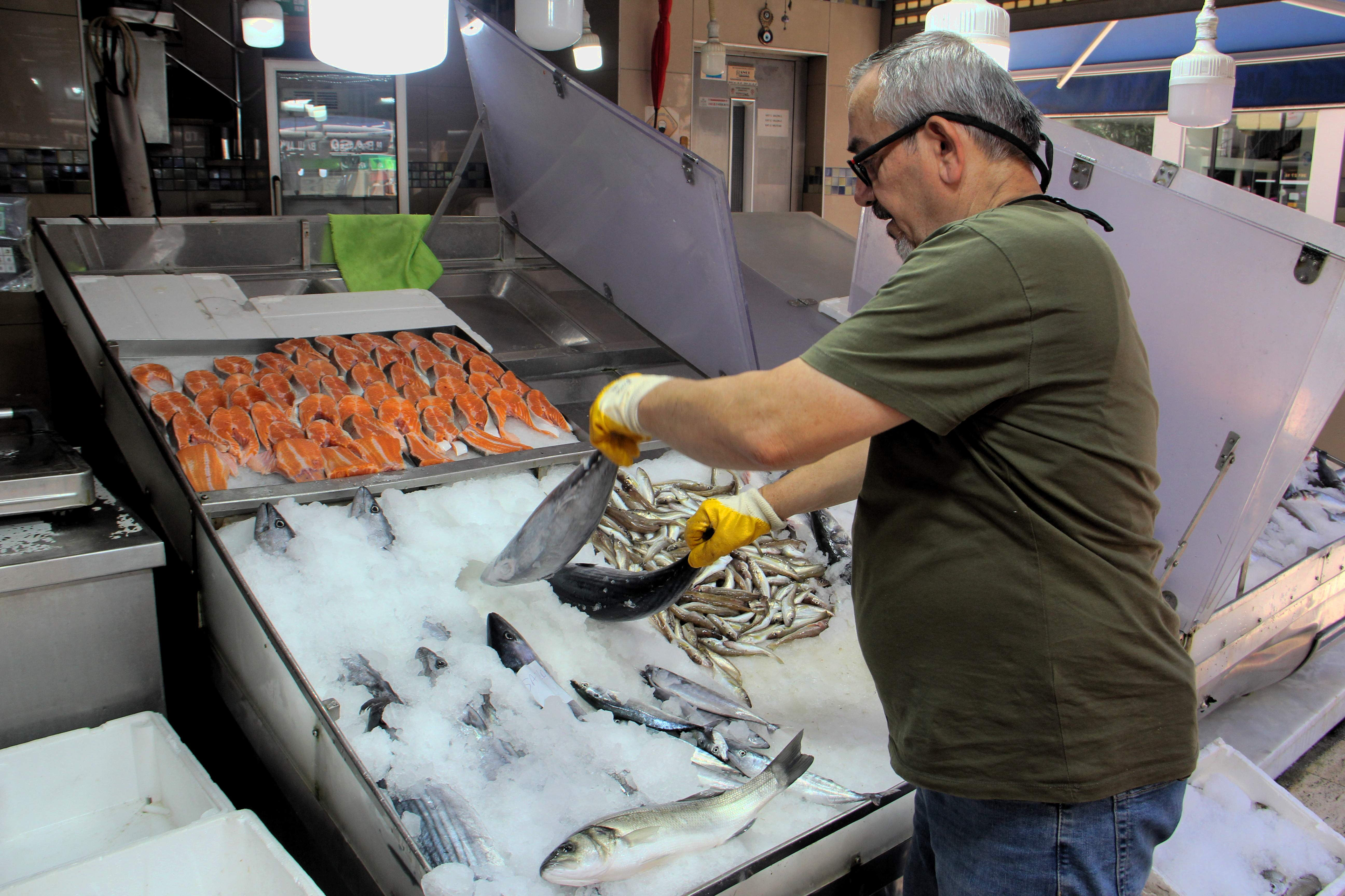 Ne palamut ne de hamsi! Denizden adeta fışkırıyor, fiyatı 1.800 liradan 800 liraya düştü - 1. Resim