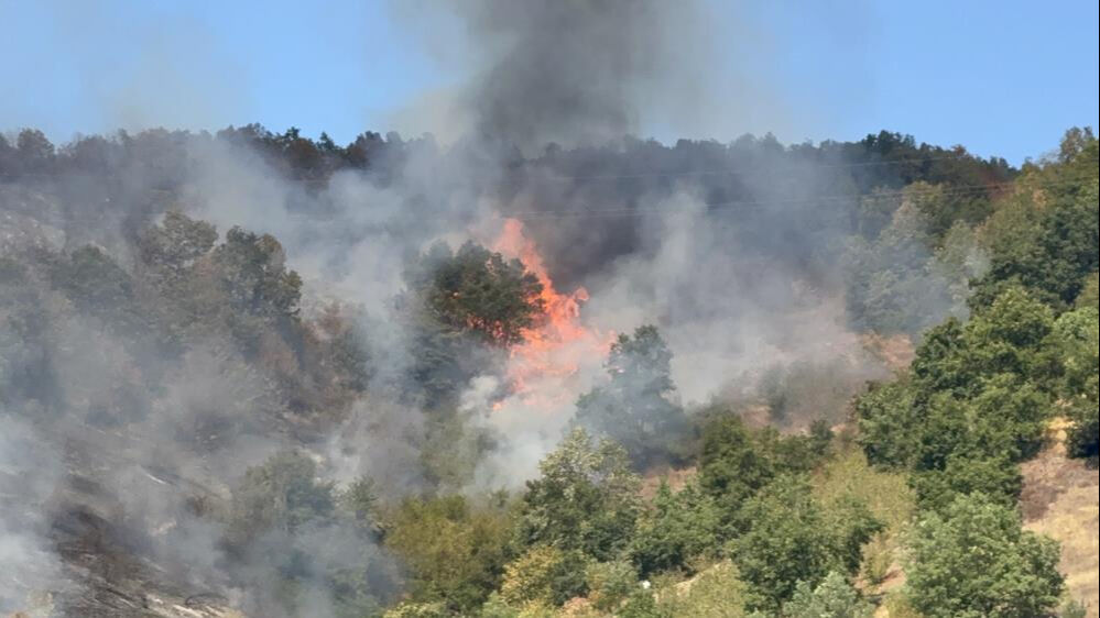 Son dakika! Düzce'deki orman yangını nerede çıktı, söndürüldü mü? - 3. Resim