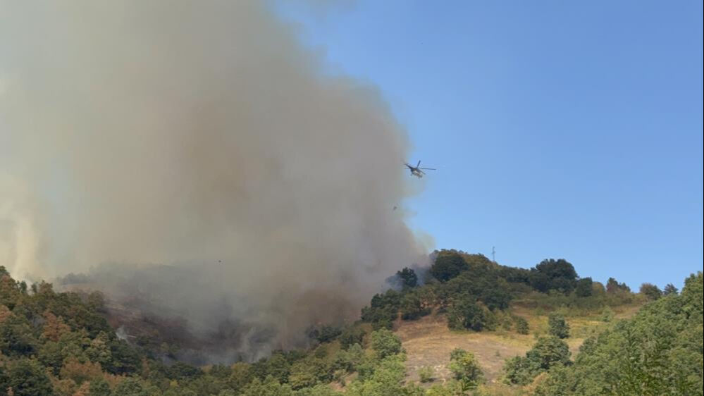 Son dakika! Düzce'deki orman yangını nerede çıktı, söndürüldü mü? - 1. Resim