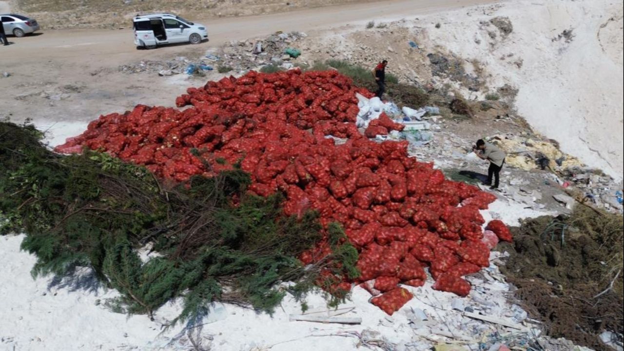 Tonlarcası boş araziye atıldı! Vatandaşlar seçerek evlerine götürdü Tonlarcası boş araziye atıldı! Vatandaşlar seçerek evlerine götürdü